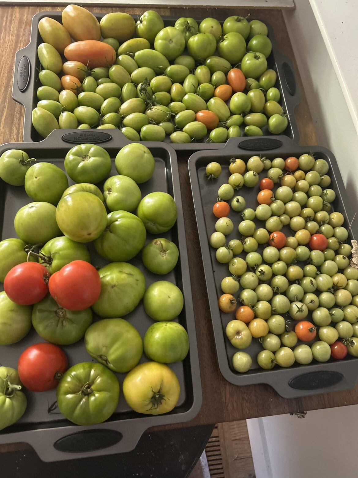 Should I combine unripe tomatoes to make Salsa Verde? Is there a certain type that works better?