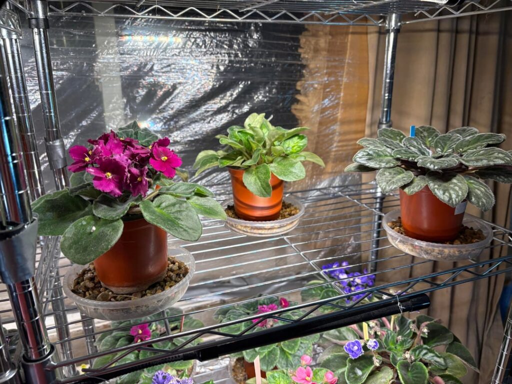 I say I have officially achieved  the color in my life! ☺️👍🏼