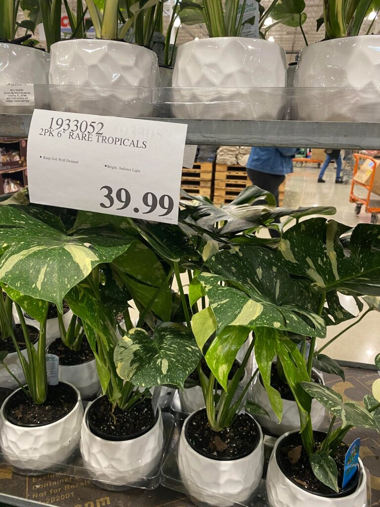 Is this a good deal?