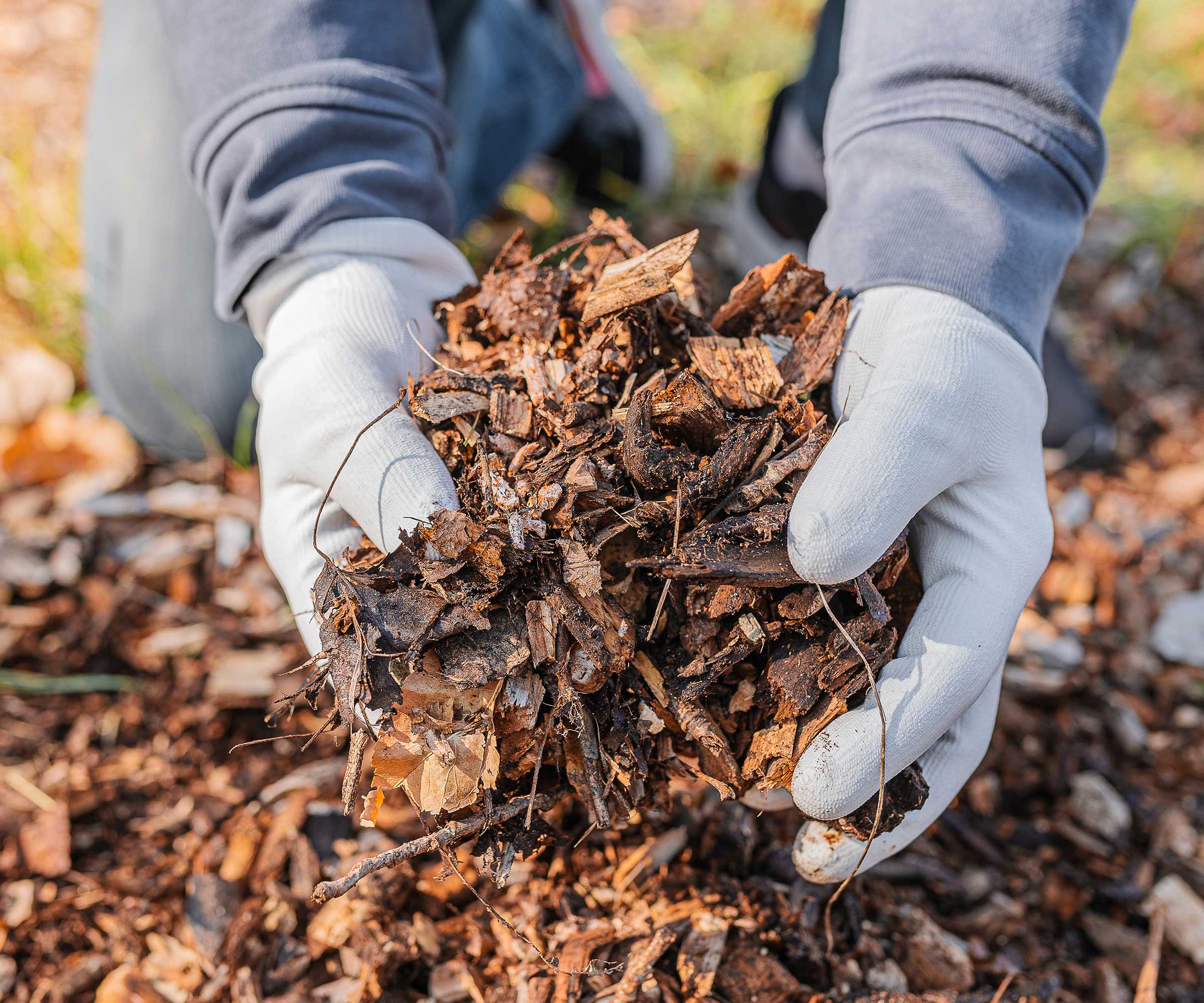 mulching