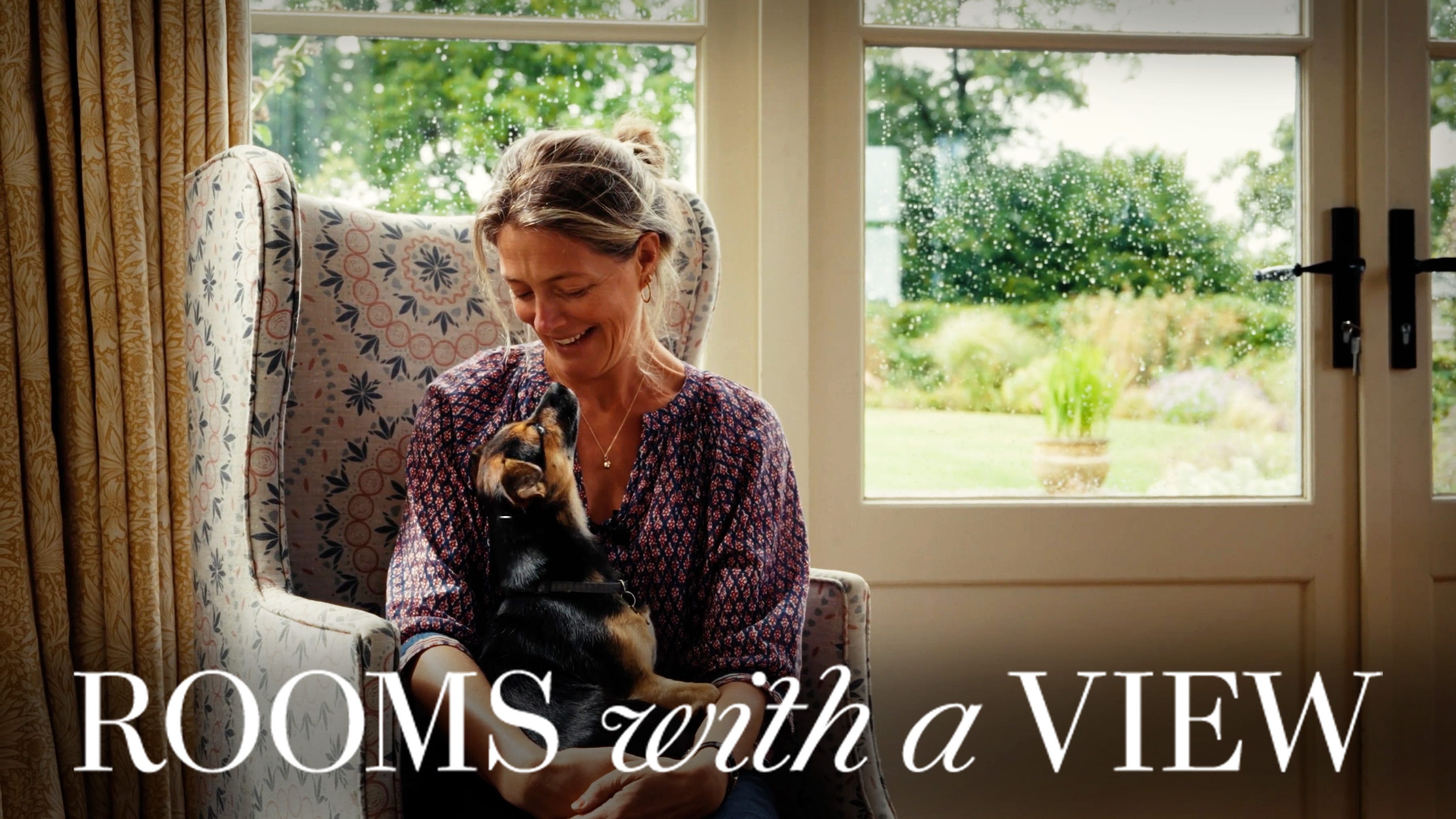 5 colourful plants for your winter containers blossoms of the christmas rose. winter ambience