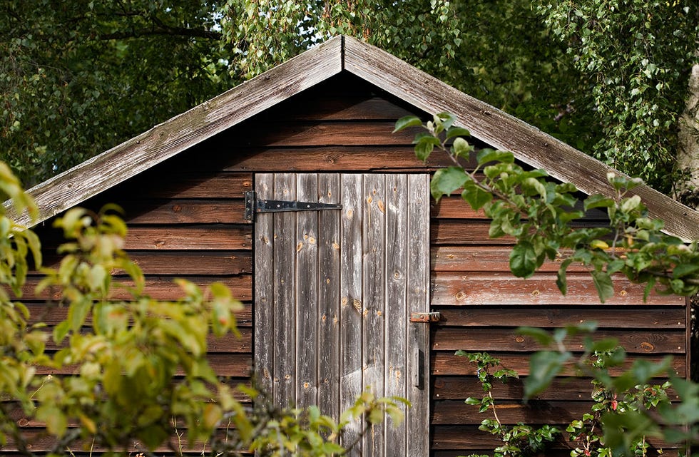 winter shed rot prevention