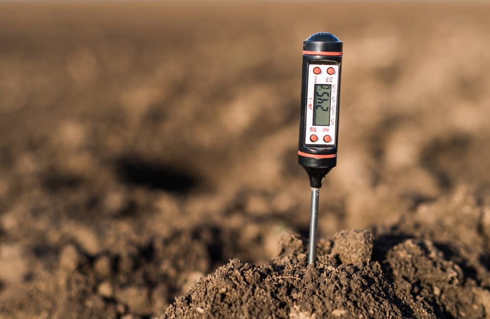 Why Gardeners Should Track Soil Temps in Autumn Why Gardeners Should Track Soil Temps in Autumn