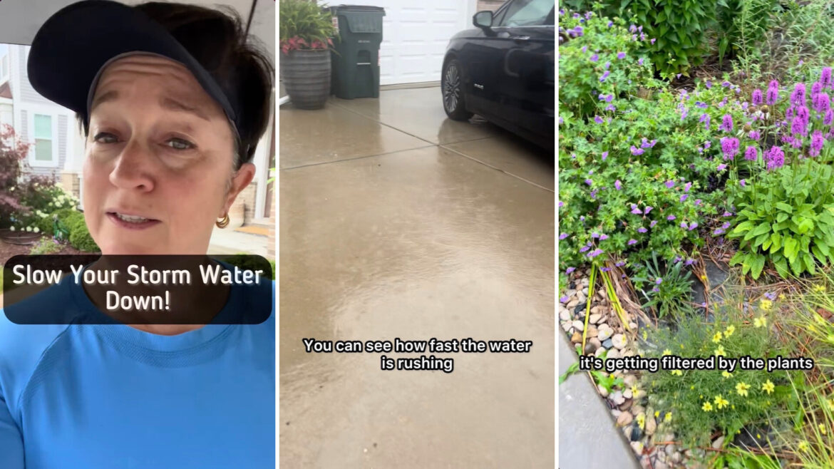 Expert shares video of clever solution for stormwater issue: ‘Happy to see’ One expert gardener shares a clever hack to manage stormwater and improve your yard and local community.
