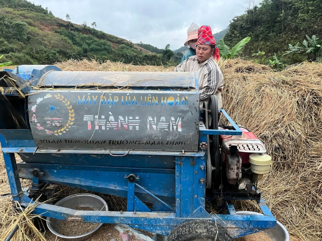 Hard days in the rice fields