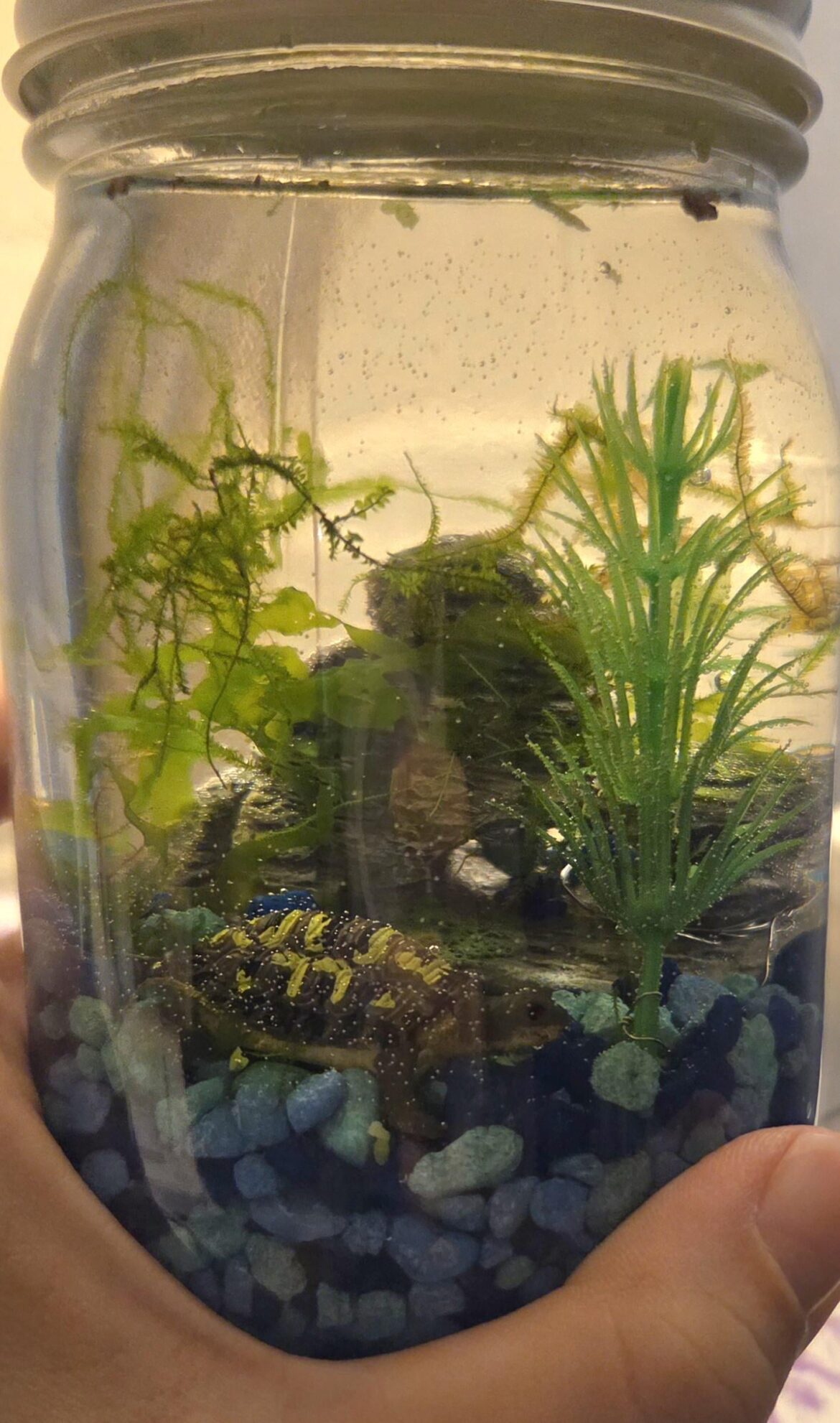 Last minute holiday presents