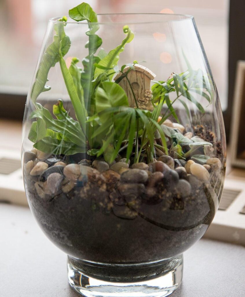 A glass terrarium filled with soil, pebbles, and a small green plant sits by a window.