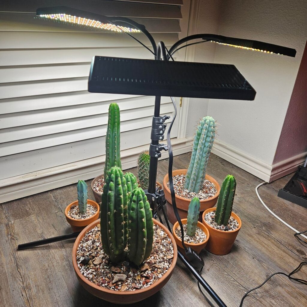 New to grow lights.. opinions?