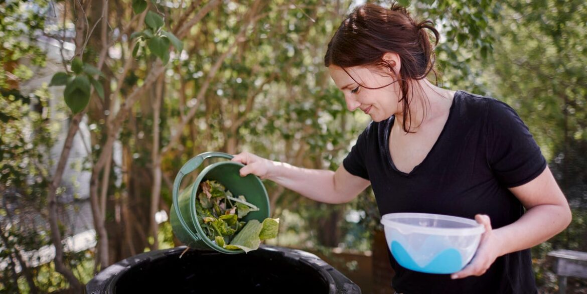 7 things never to throw on the compost heap