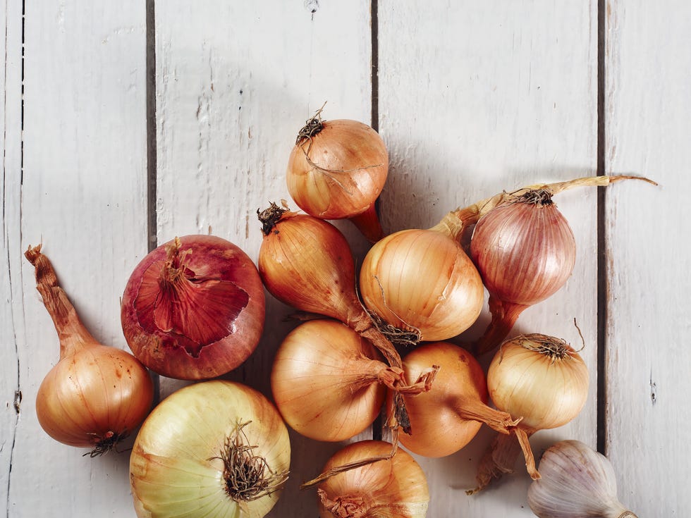 things you should never throw on the compost heap