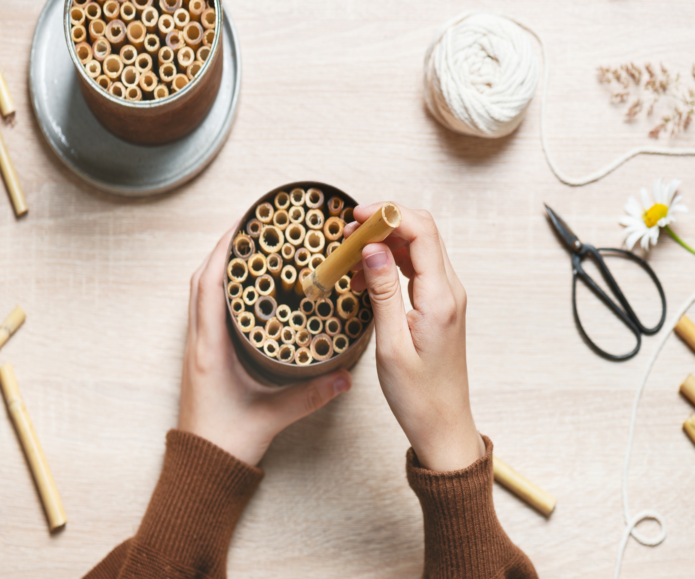 Woman's hands making a bug shelter out of bamboo canes and an old tin can