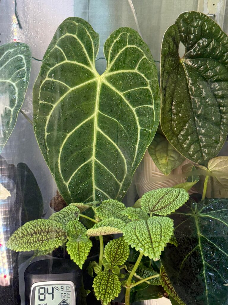 I must say, I’m proud