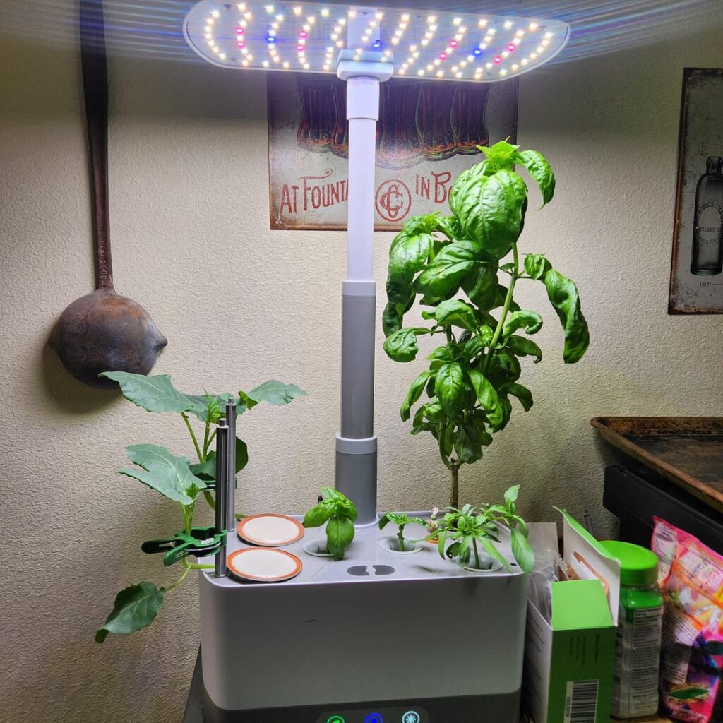 Here's my set up