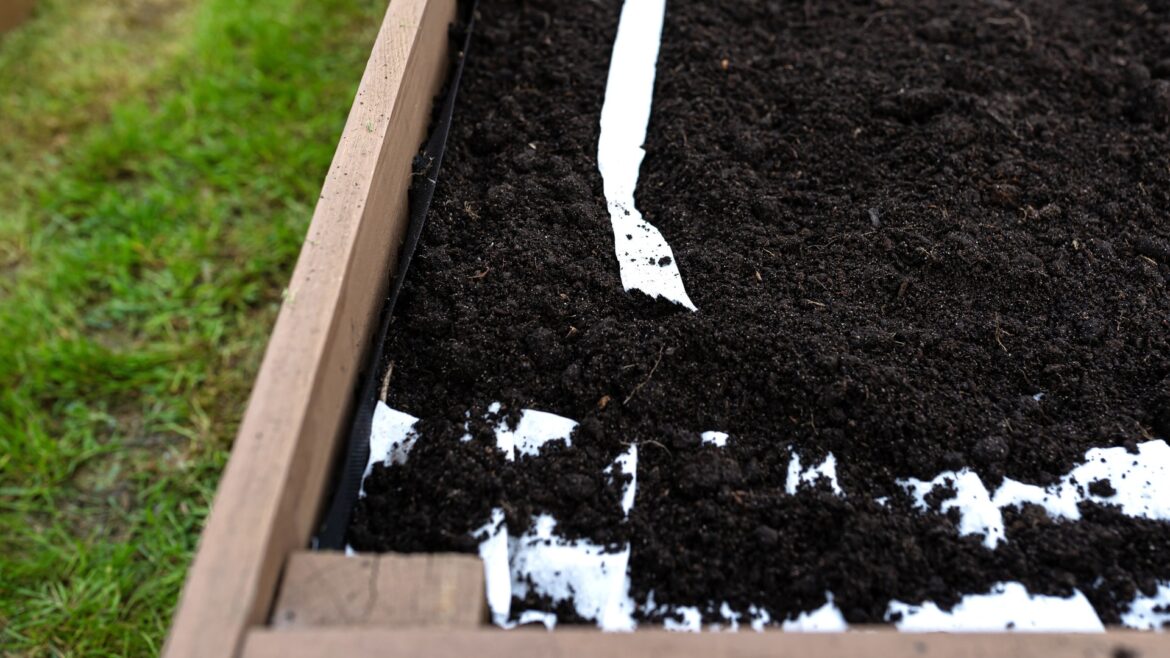 First-time gardener receives warnings after sharing pictures of raised garden bed online: ‘I severely messed up’ The novice gardener revealed that they had ordered topsoil to fill in their vegetable garden while planting their seedlings.