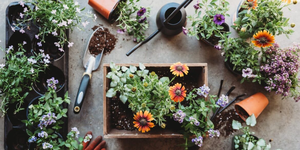 The Best Gardening Deals for Black Friday and Cyber Monday 2025