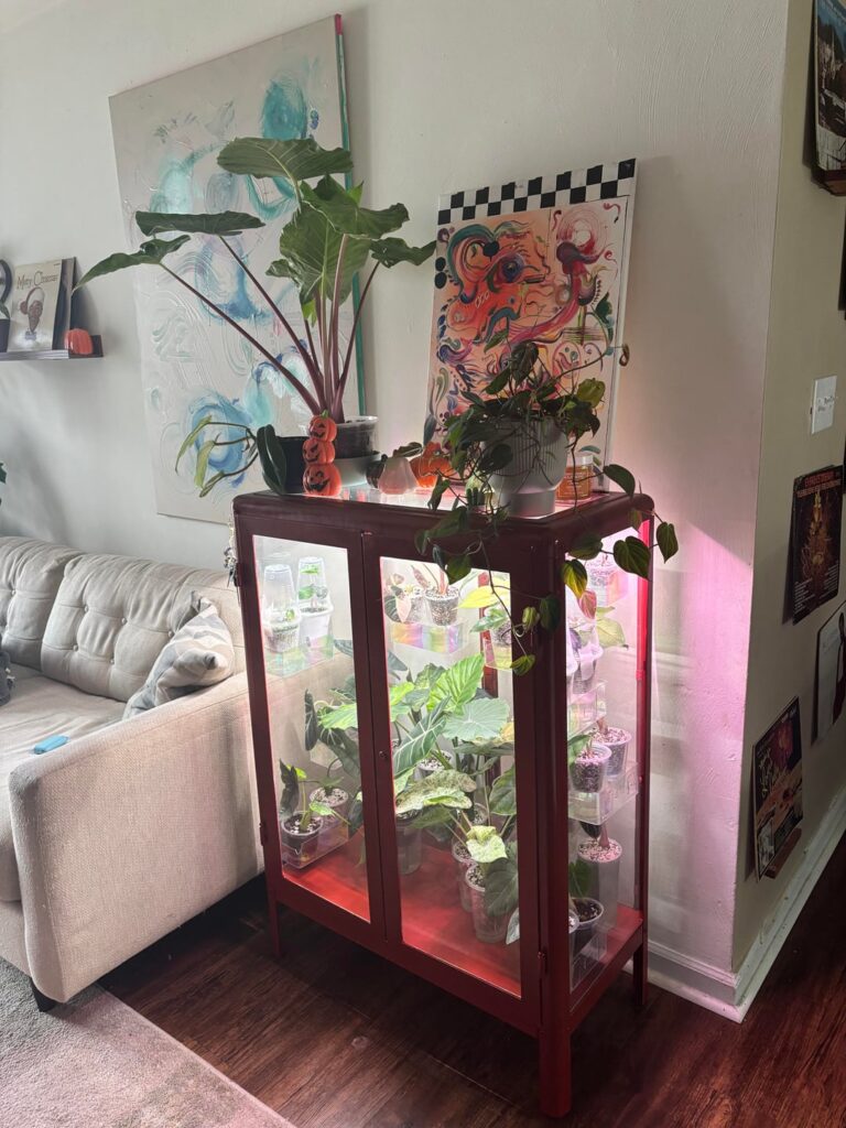 Painted Fabrikör wide from Ikea 🍄❤️