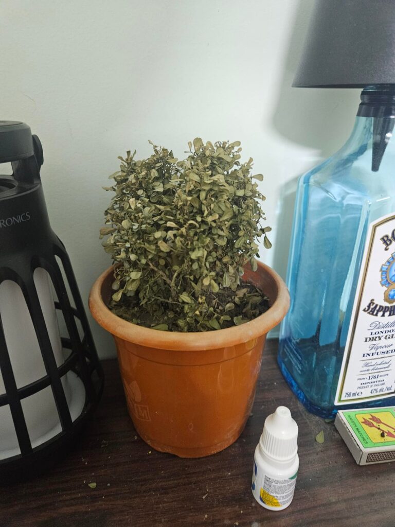 PLEASE HELP ME. I AM AT MY WIT'S END