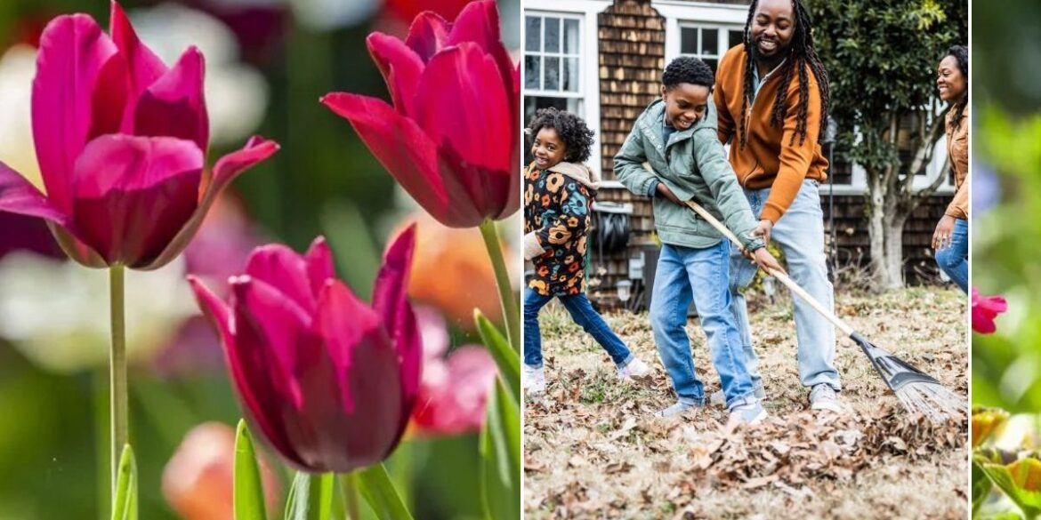 What you do in November will ‘make all the difference’ come spring What you do in November will 'make all the difference' come spring