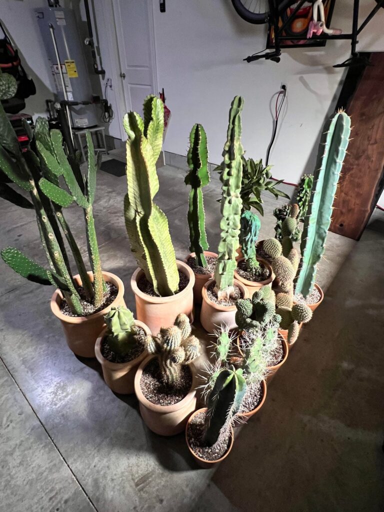 Inside for the winter