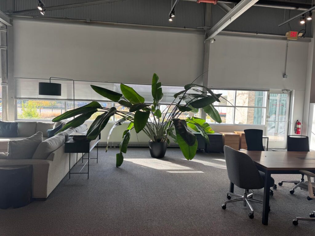 Biggest bird I’ve ever seen