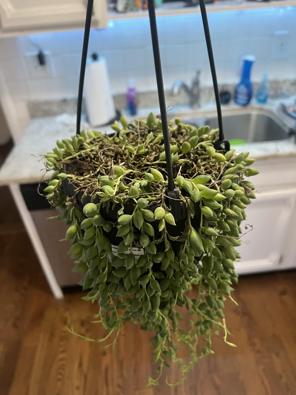 My string of tears about to bring me to tears, yall. 😢