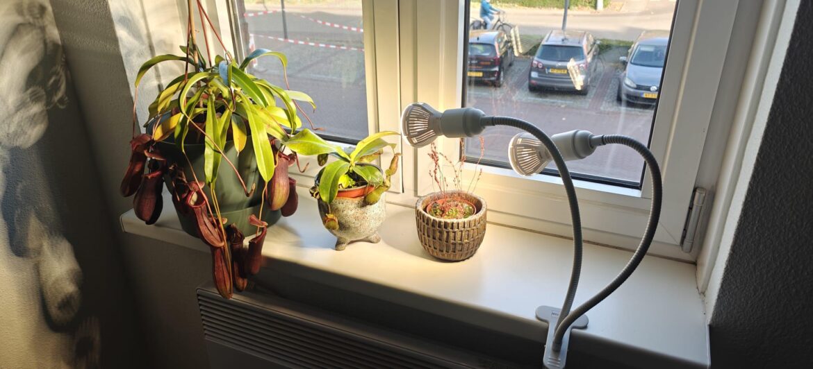 Is this setup good enough to get them through the winter? Is this setup good enough to get them through the winter?