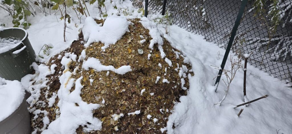 The hottest place in town