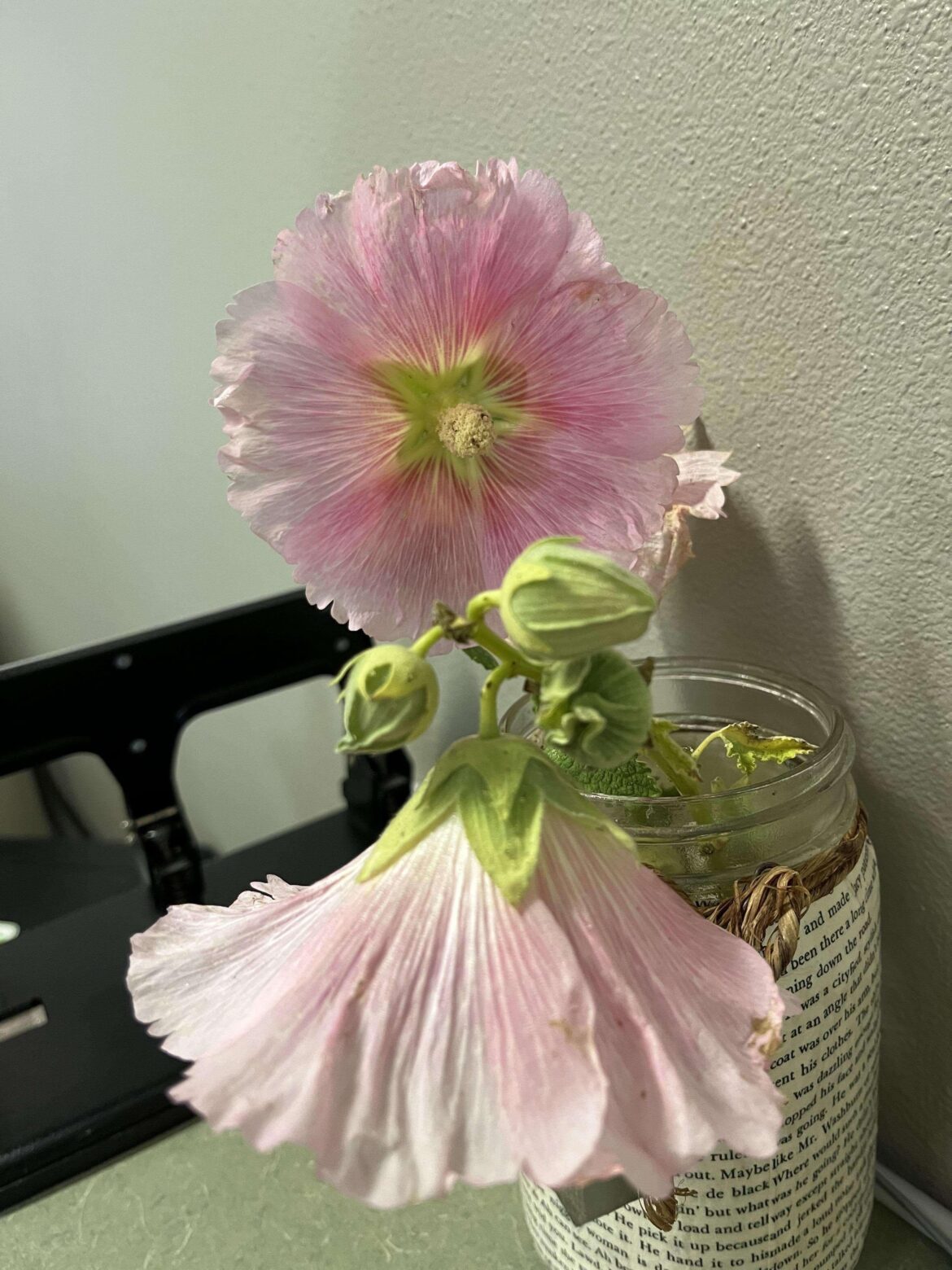 What flower did my client give me?