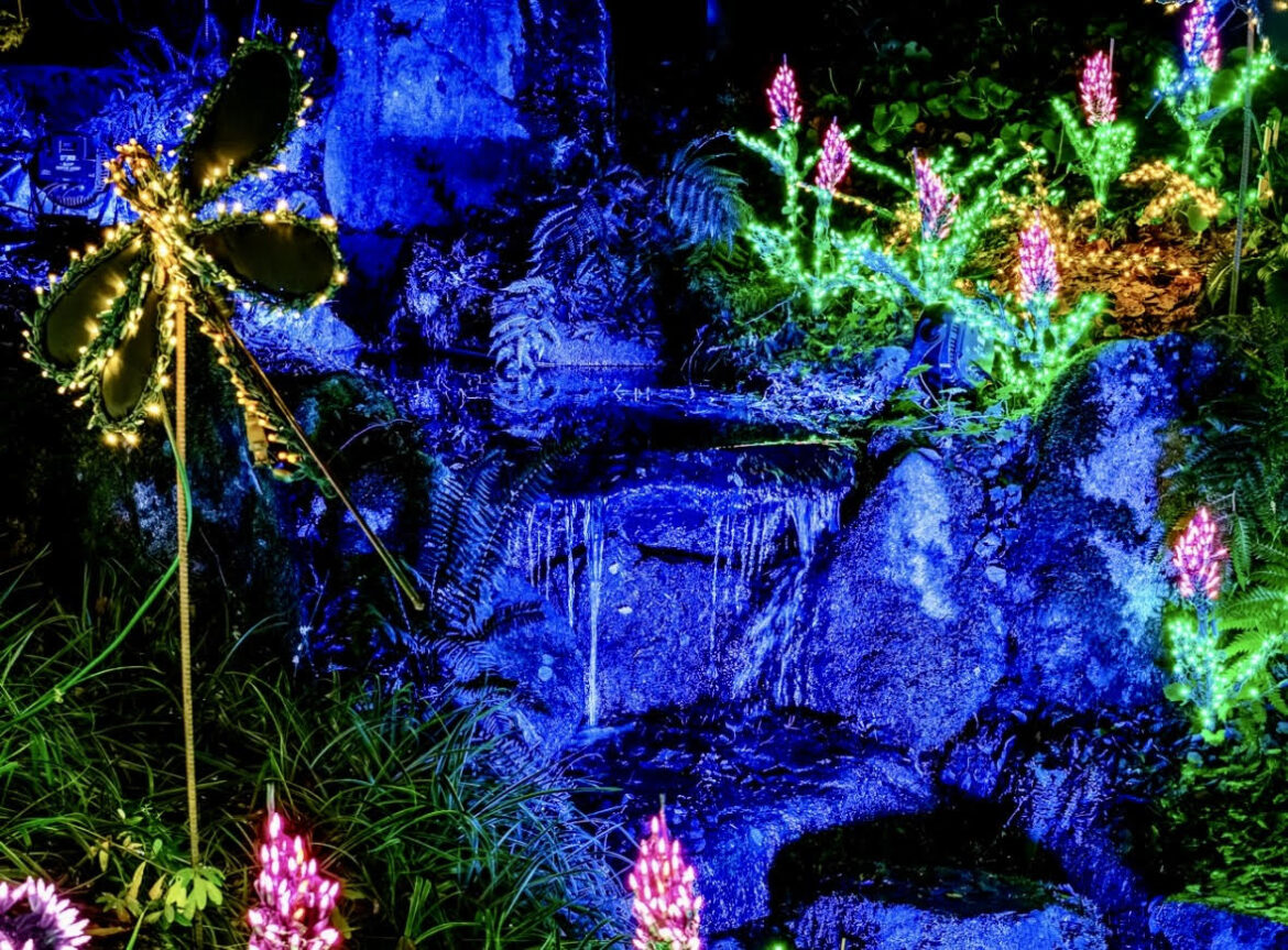 Garden d