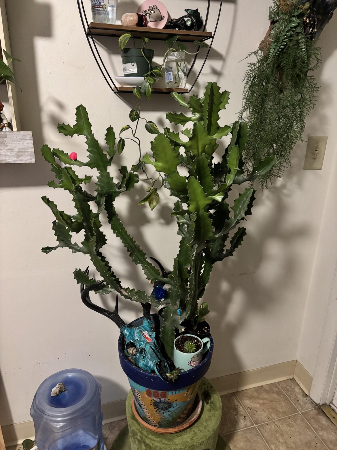 My new buddy, I’m truly so happy My new buddy, I’m truly so happy