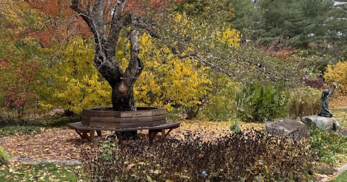 Homegrown NH: Sharp tools, warm hearts, as gardeners prepare for winter’s rest Homegrown NH: Sharp tools, warm hearts, as gardeners prepare for winter’s rest
