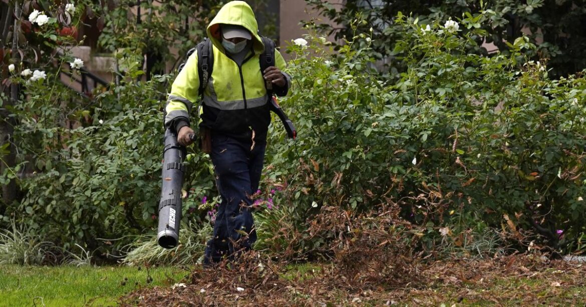 How to turn fallen leaves into valuable soil conditioner this fall