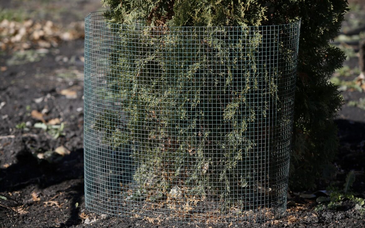 Here’s your last-minute yard and garden fall checklist - InForum