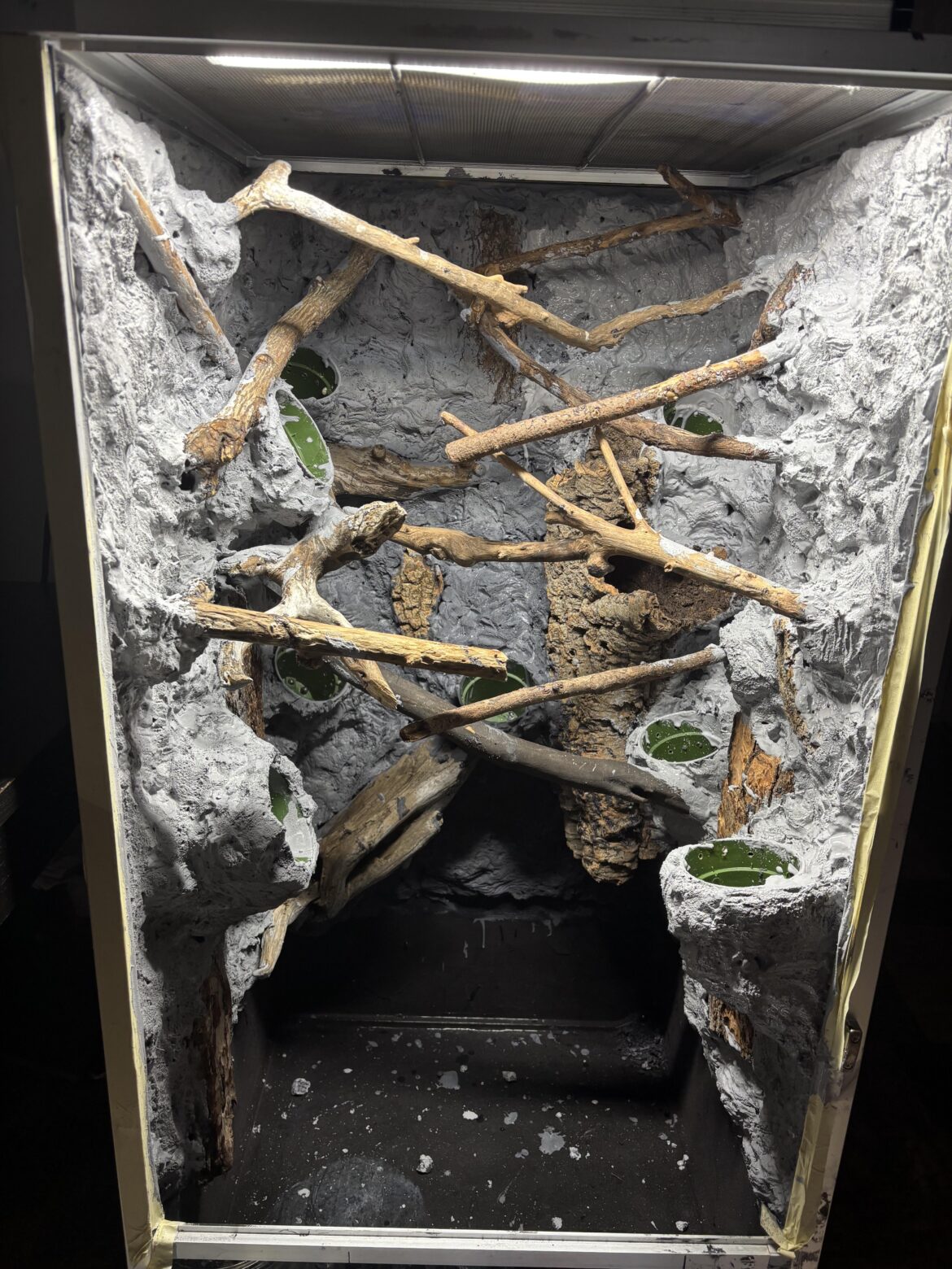 First coat of Drylok down. I bit off way more than I can chew.