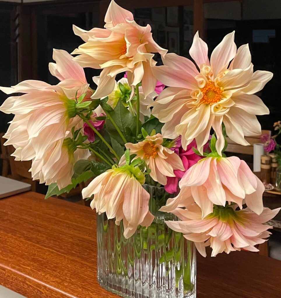 Perfectly imperfect Perfectly imperfect