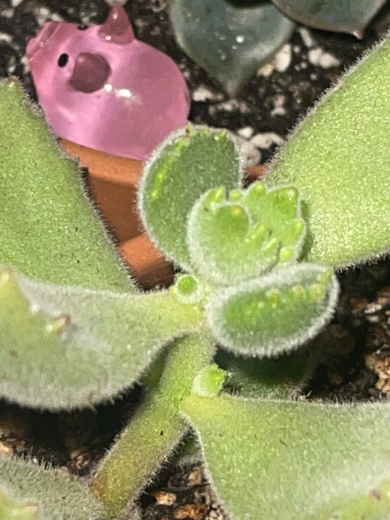 This is normal, right?