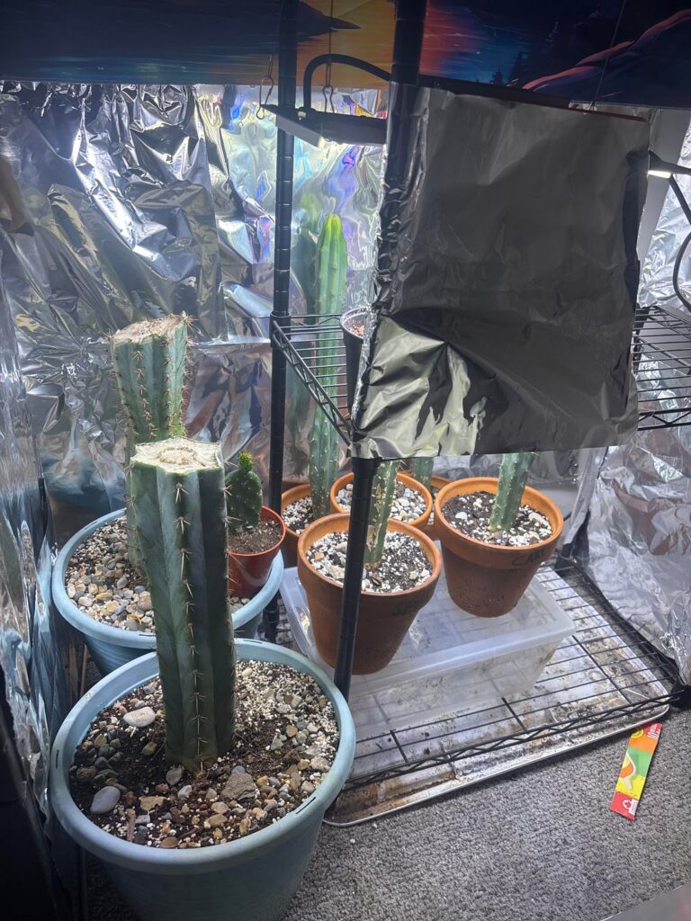 How is my set up? How is my set up?