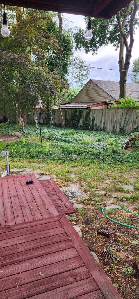 The Great Ivy War is Over (I Think)