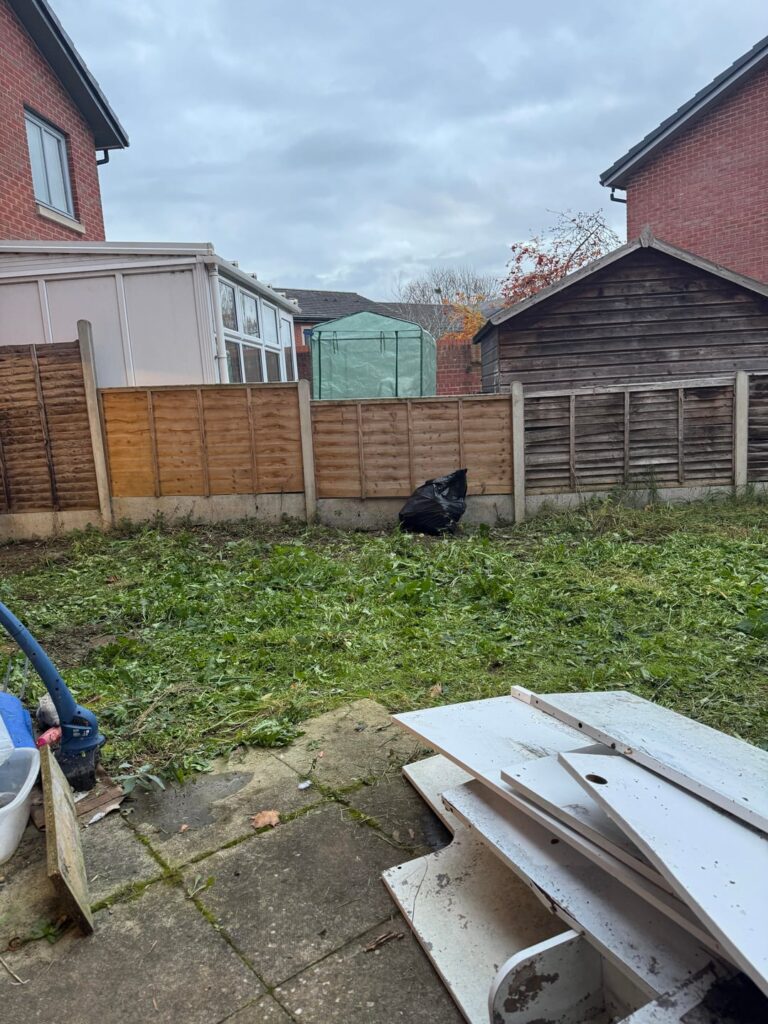 Mini busters/ shrubs/ trees?