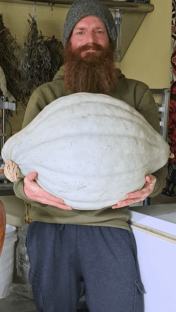 Hi. Just showing off my 44 lb. Hubbard squash.