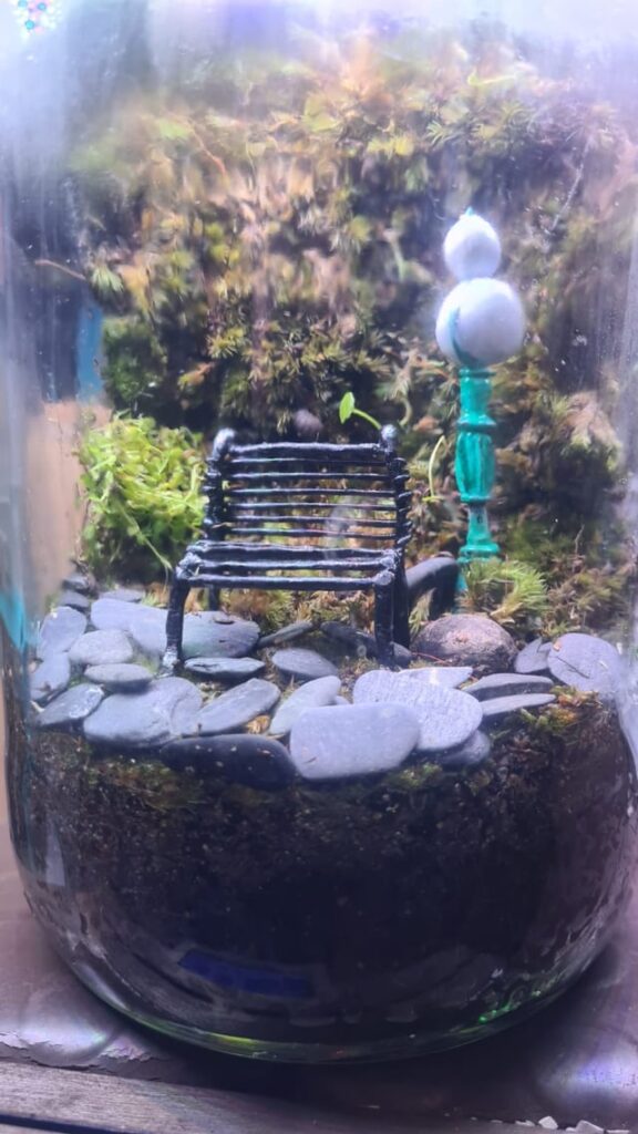 I finished the hollow Knight jarrarium