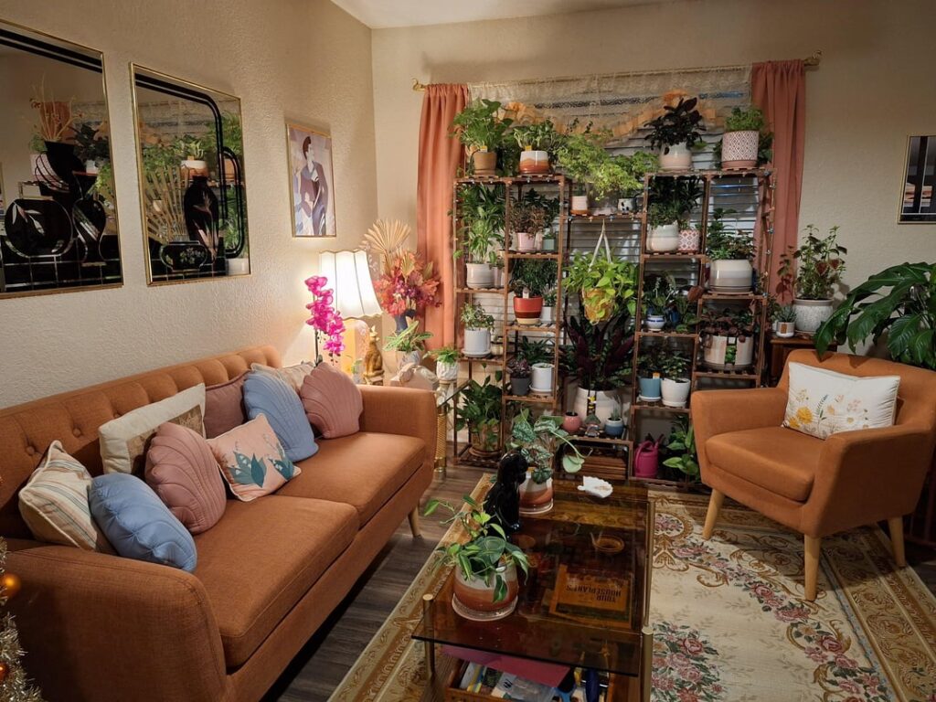 My husband's wall of plants