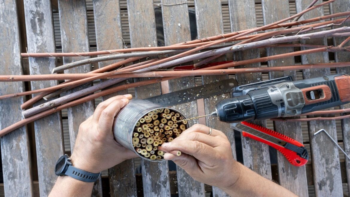 DIY wildlife shelters - a man making a bug hotel from bamboo and a tin can
