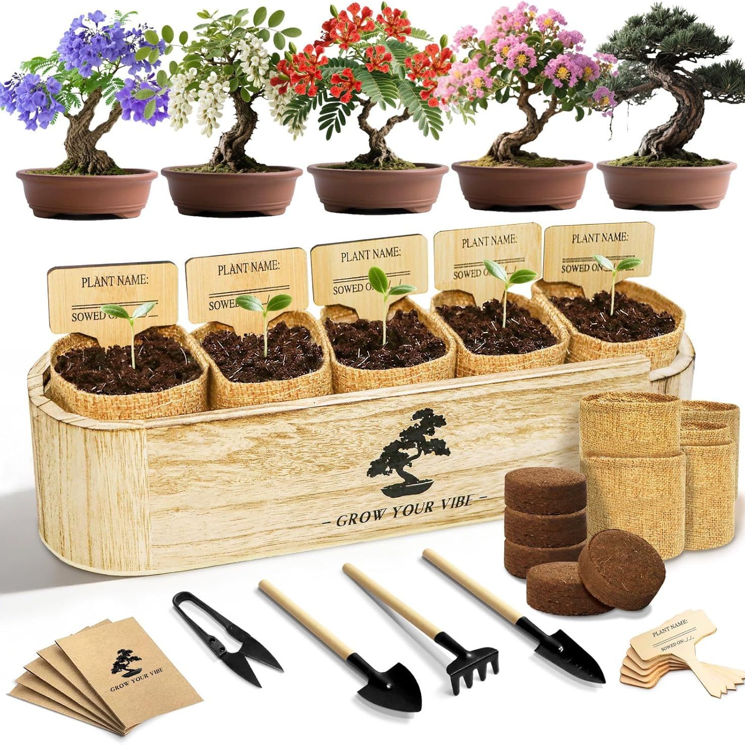 Luojibie Bonsai Tree Kit for Beginners - Unique Diy Japanese Bonsai Trees,crafts for Adults, Ideal Gardening Birthday Gift for Women &amp; Men,complete Indoor Plant Kit