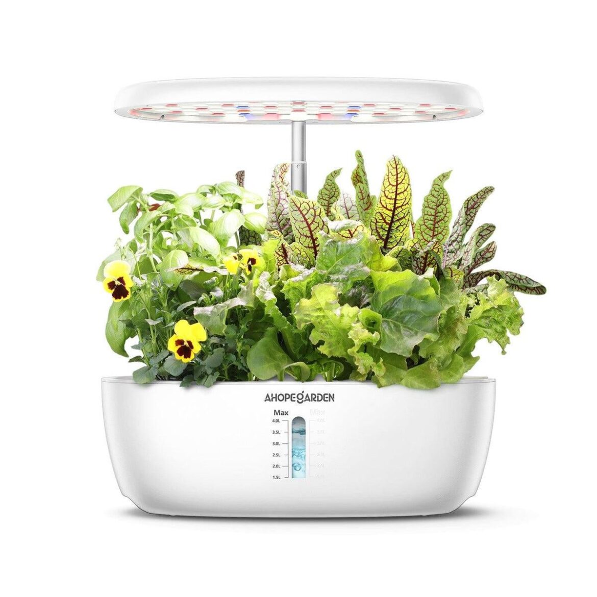 Beginner looking for opinions on what to buy - "indoor desk kit"