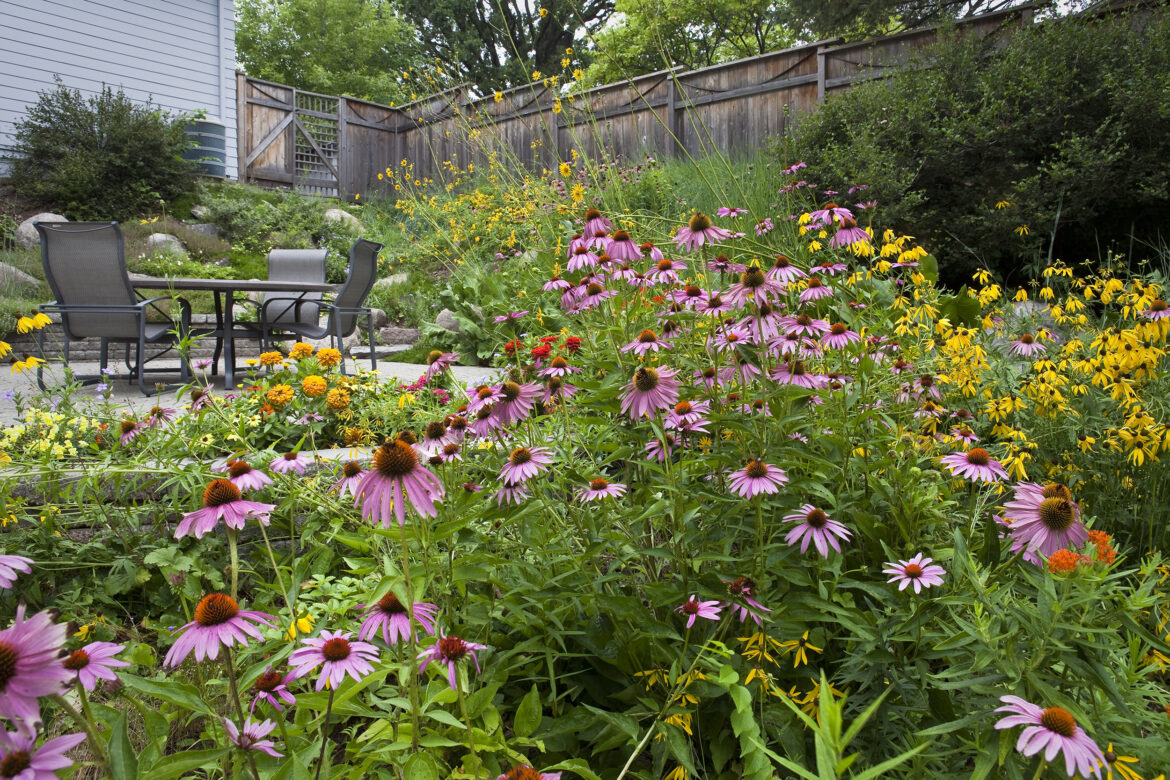 Green Gardener At Home returns this Spring