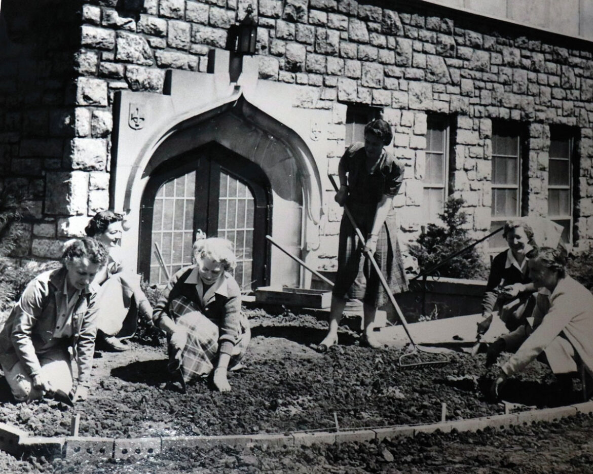 ‘Sharing the Love of Gardening’ – KC STUDIO ‘Sharing the Love of Gardening’ – KC STUDIO