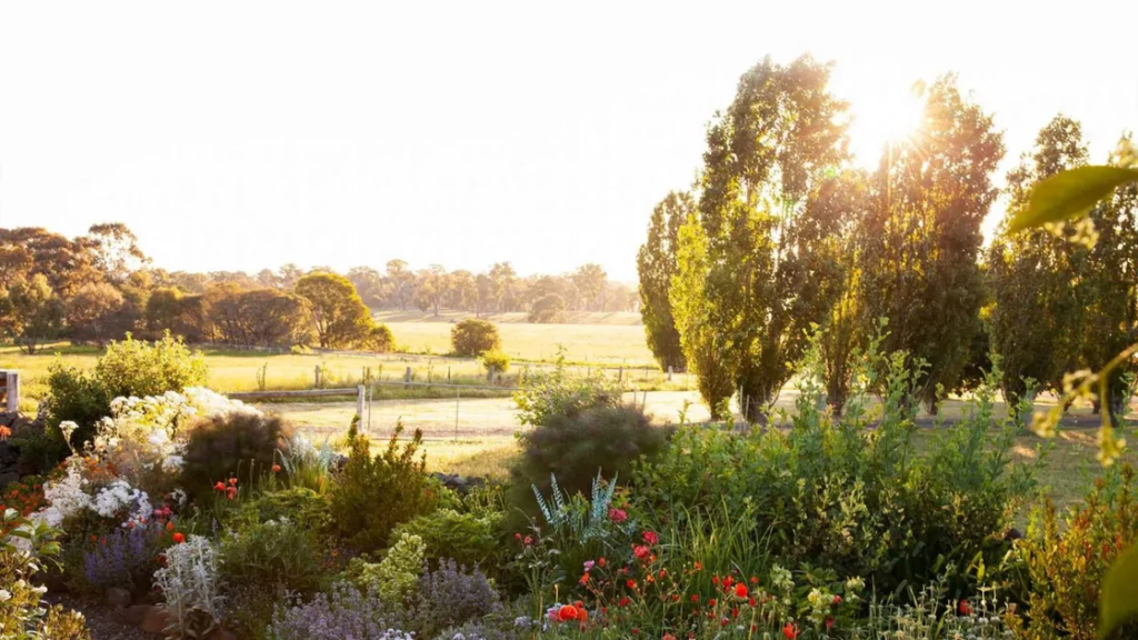 What To Plant In The Garden In November What To Plant In The Garden In November