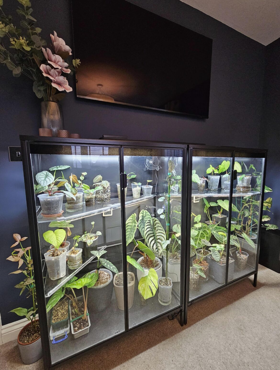 Please tell me what you think of my cabinets