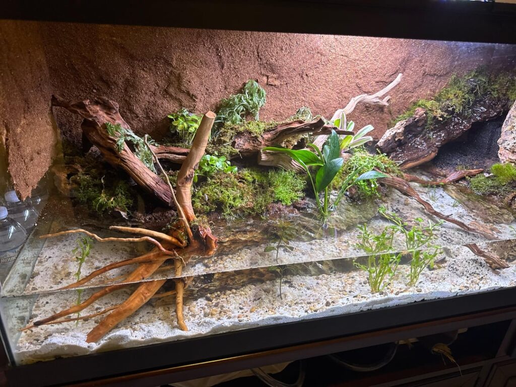 Some more pictures of my just finished 75 Gallon paludarium build! Any advice or thoughts would be greatly appreciated! Some more pictures of my just finished 75 Gallon paludarium build! Any advice or thoughts would be greatly appreciated!